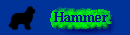 Hammer