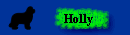 Holly